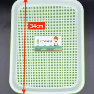 dscf5334 1400x.webp
