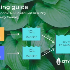 dilution guide 6 grande.webp