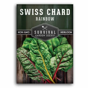 swiss chard rainbow 01.webp