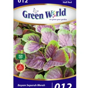 gw 12 1400x.webp