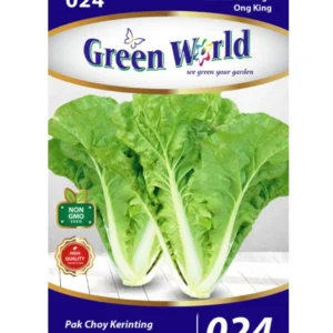 gw 24 1400x.webp